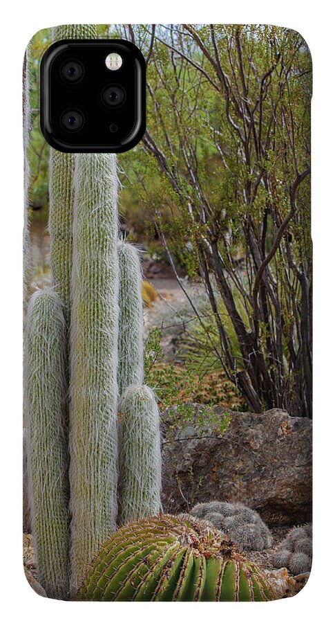 Cacti III - Phone Case