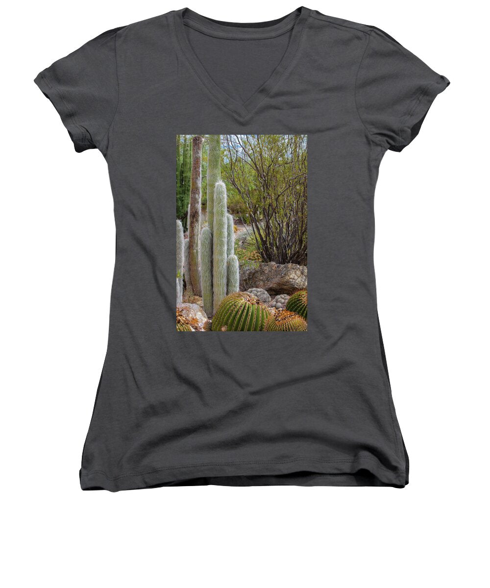 Cacti III - Women's V-Neck