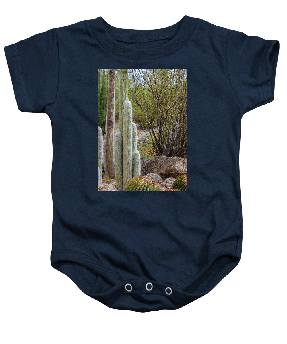 Cacti III - Baby Onesie