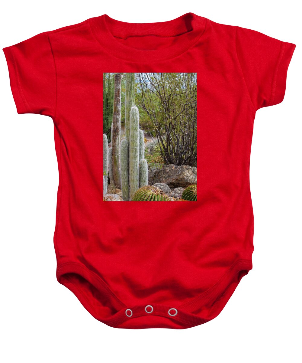 Cacti III - Baby Onesie