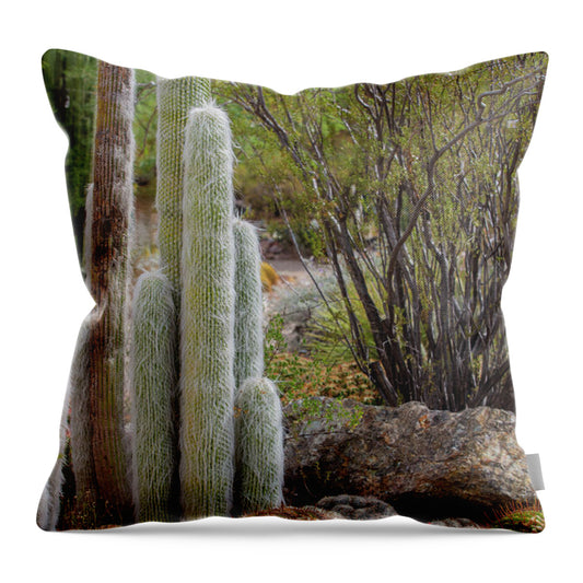 Cacti III - Throw Pillow