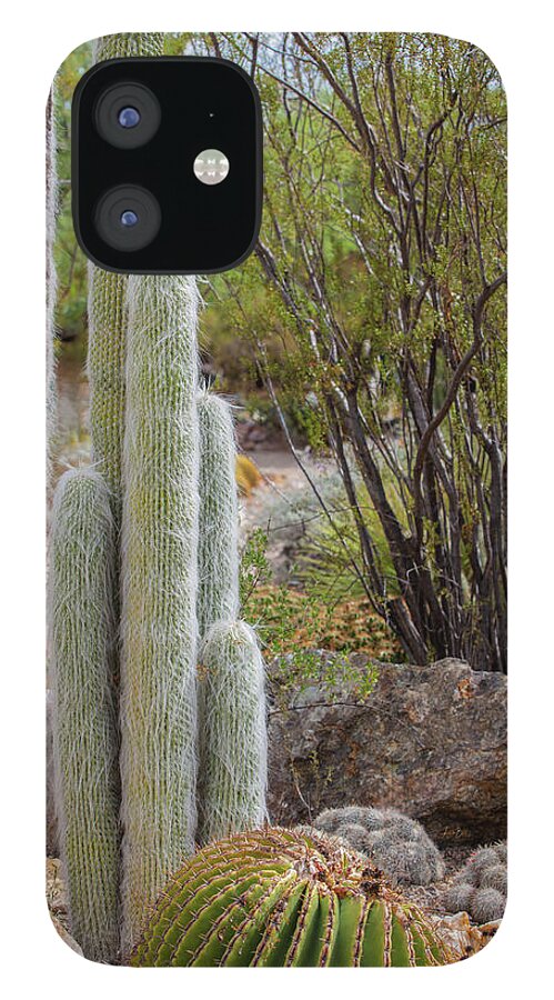 Cacti III - Phone Case
