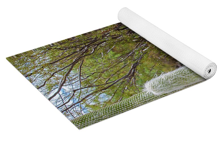 Cacti III - Yoga Mat