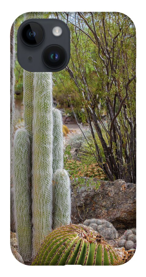 Cacti III - Phone Case