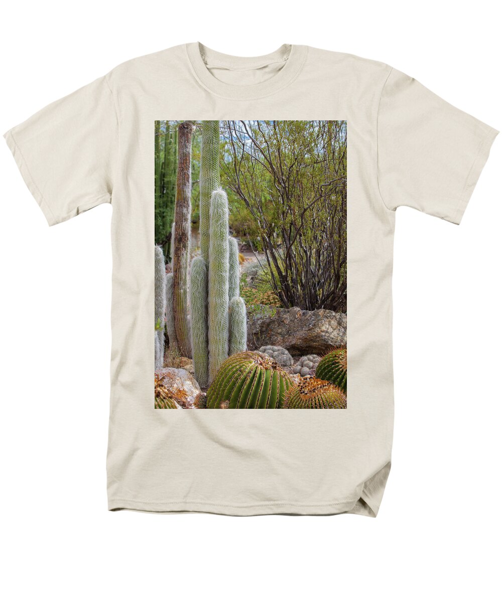 Cacti III - Men's T-Shirt  (Regular Fit)