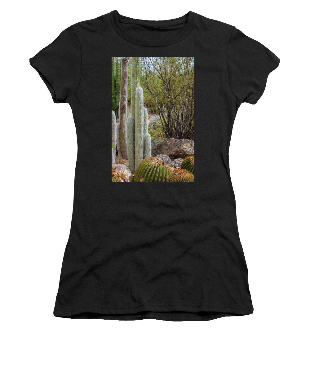 Cacti III - Women's T-Shirt