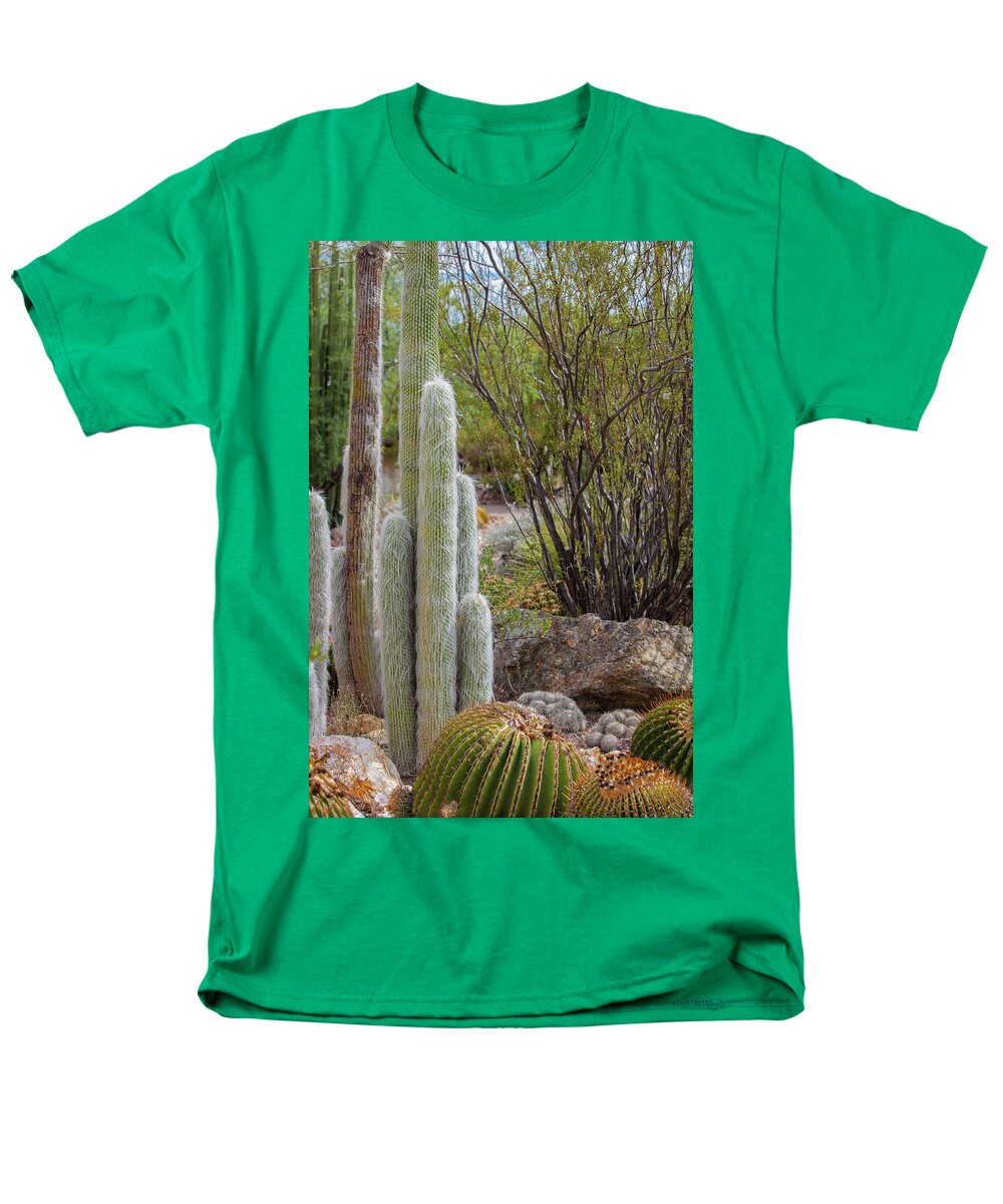Cacti III - Men's T-Shirt  (Regular Fit)