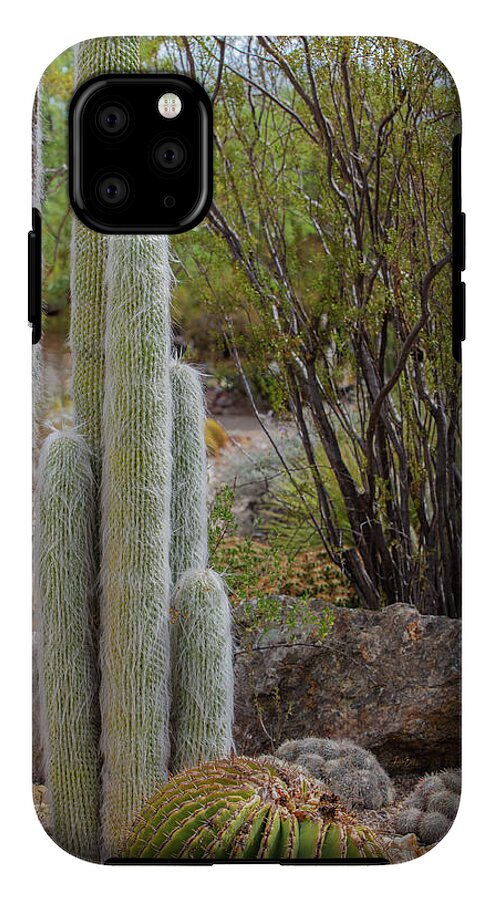 Cacti III - Phone Case