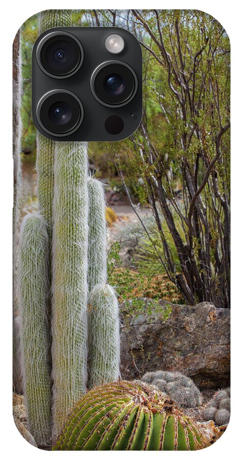 Cacti III - Phone Case