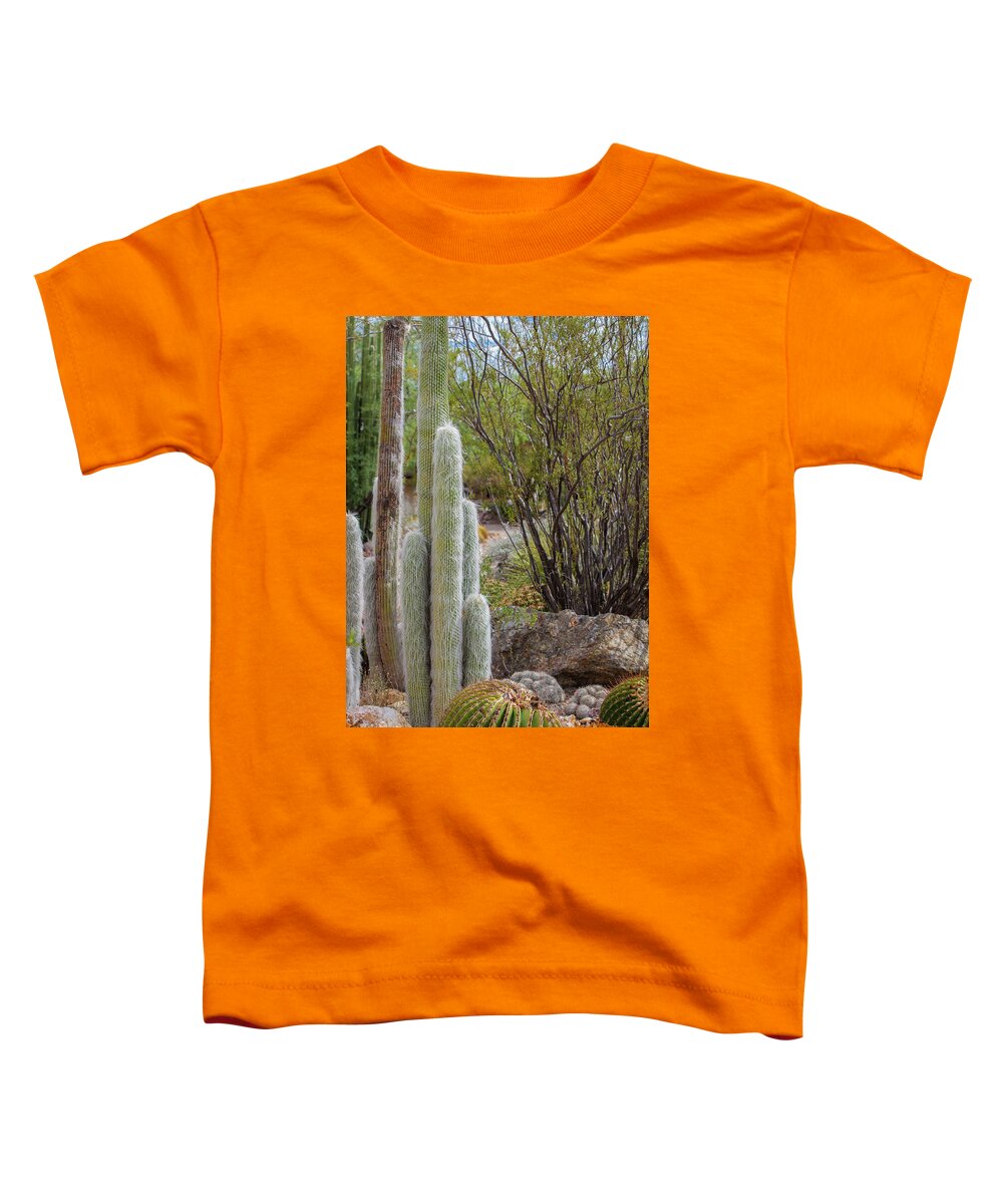 Cacti III - Toddler T-Shirt