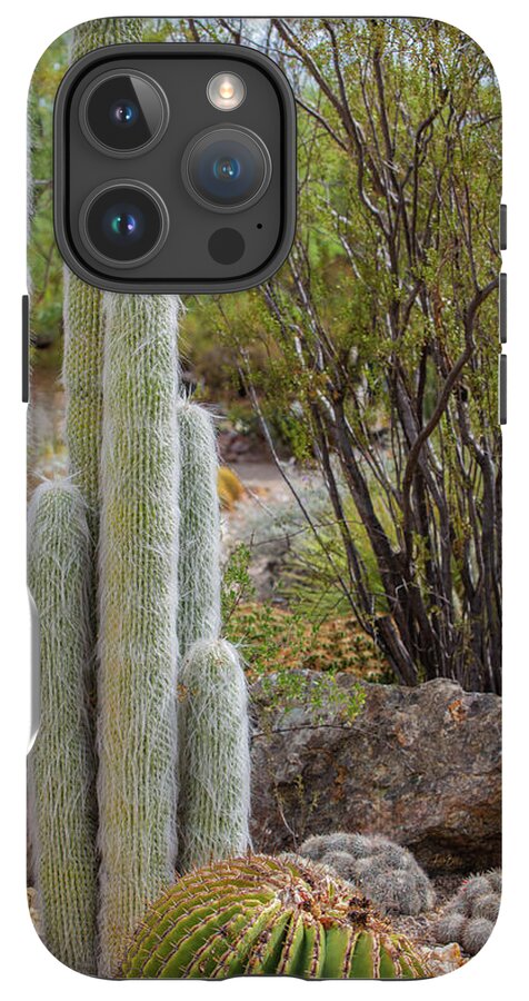 Cacti III - Phone Case