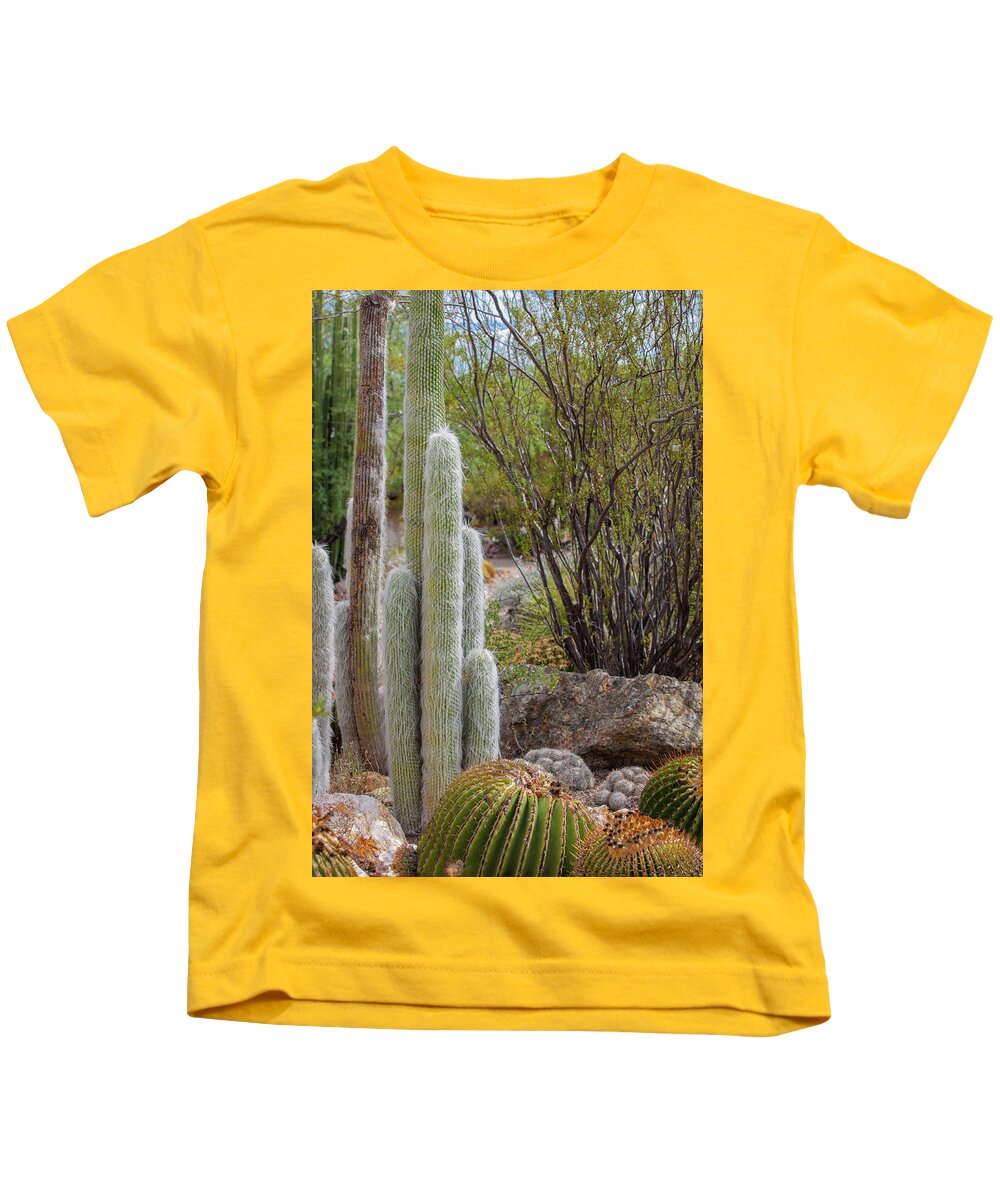 Cacti III - Kids T-Shirt