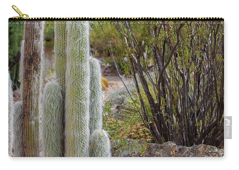 Cacti III - Zip Pouch