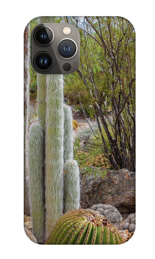 Cacti III - Phone Case