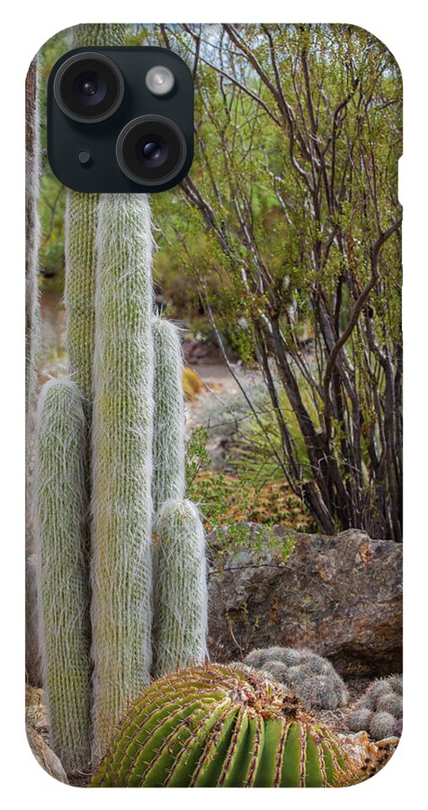 Cacti III - Phone Case