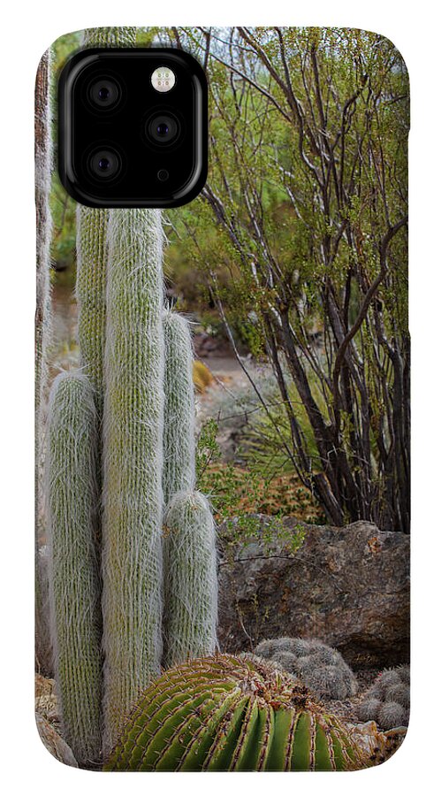 Cacti III - Phone Case
