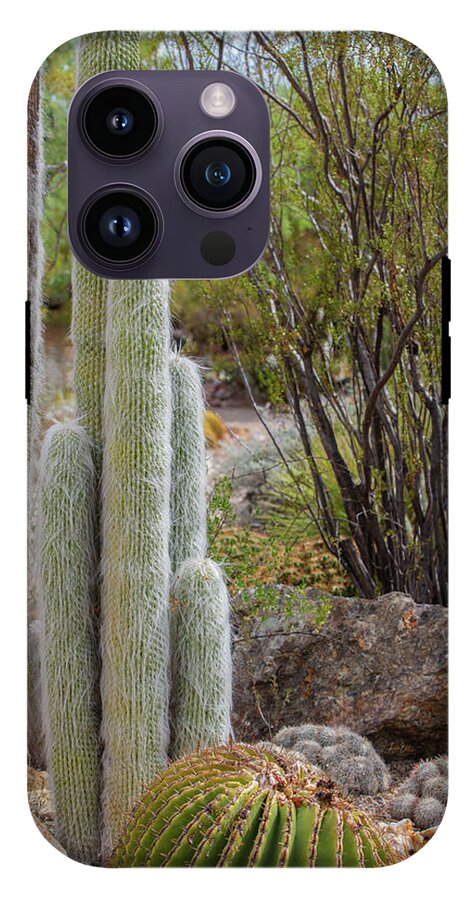 Cacti III - Phone Case