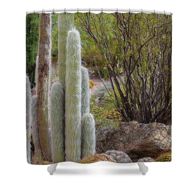 Cacti III - Shower Curtain