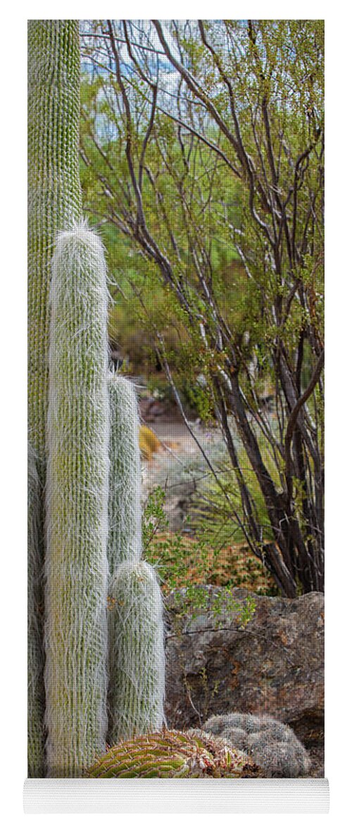 Cacti III - Yoga Mat