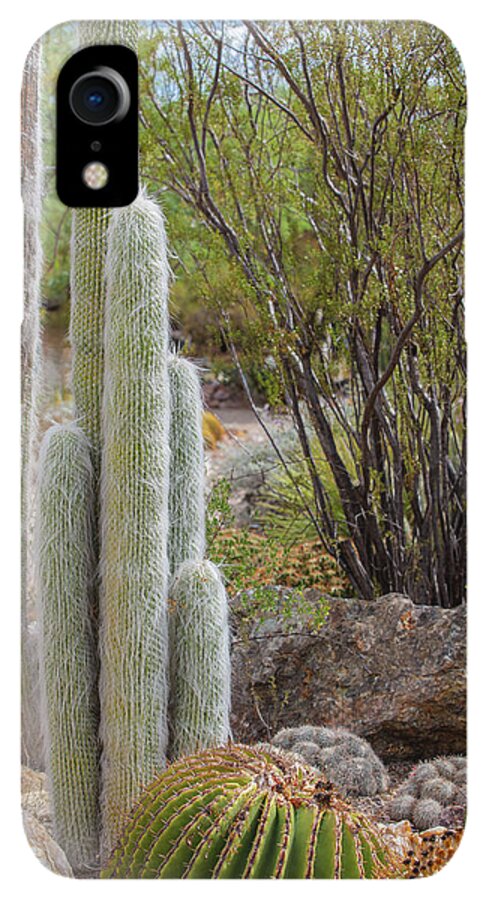 Cacti III - Phone Case