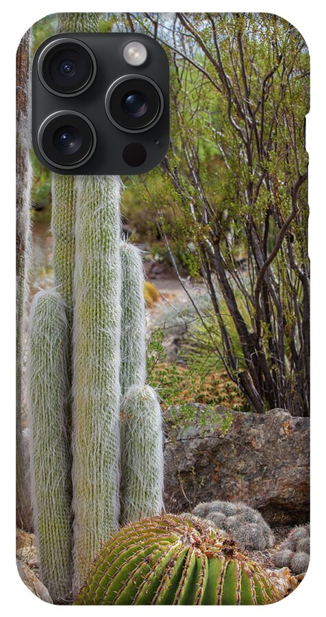 Cacti III - Phone Case