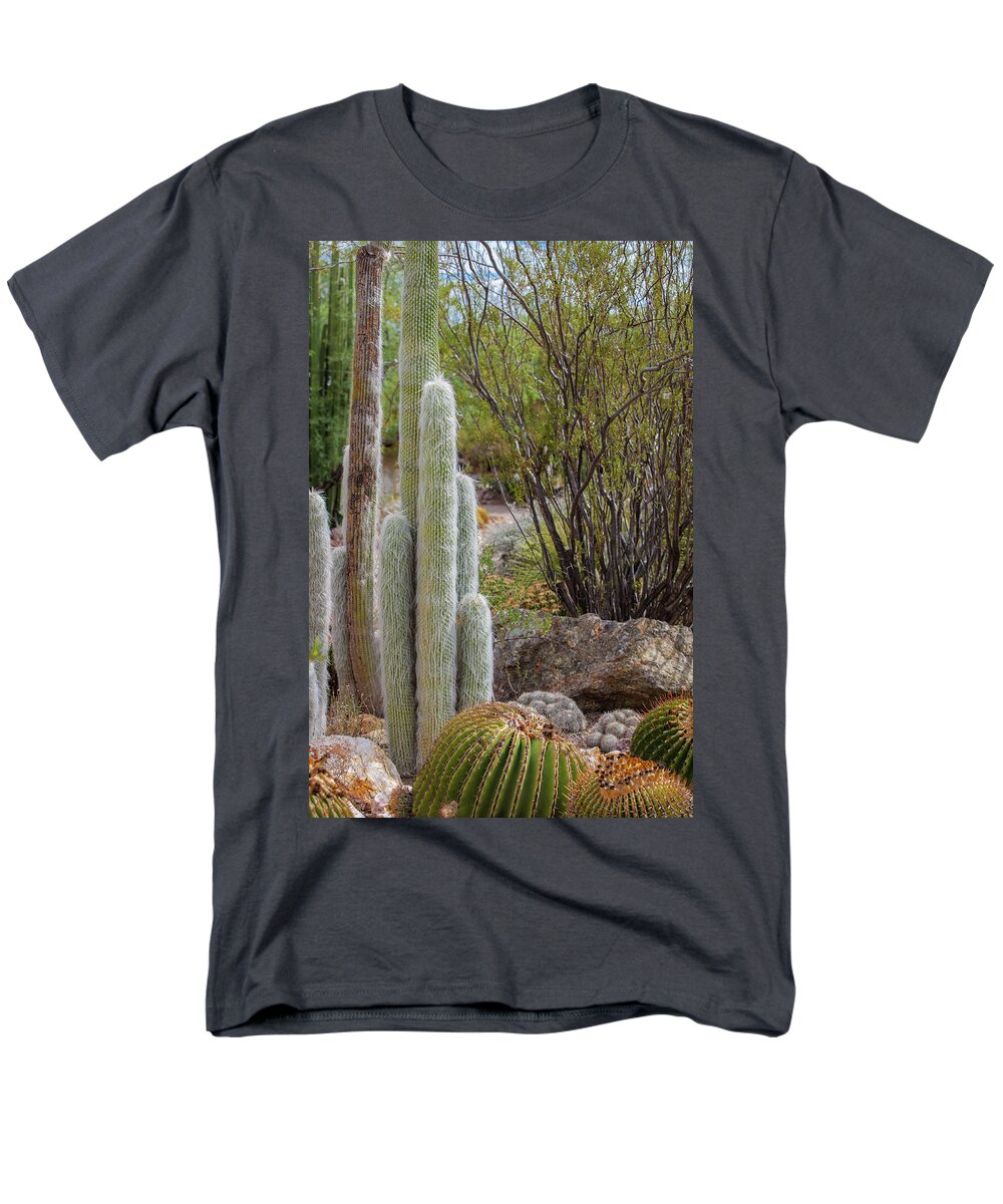 Cacti III - Men's T-Shirt  (Regular Fit)