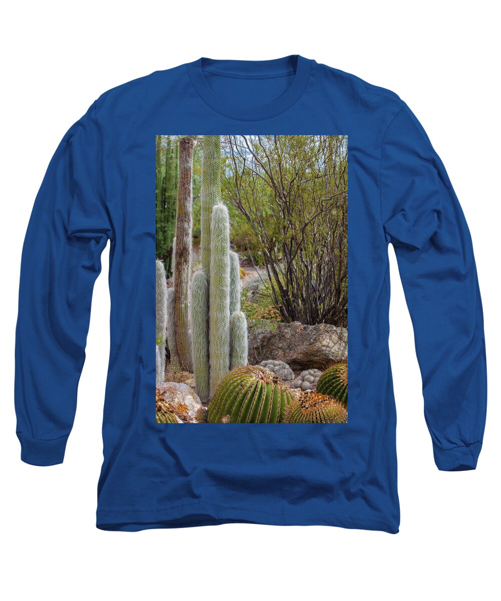 Cacti III - Long Sleeve T-Shirt