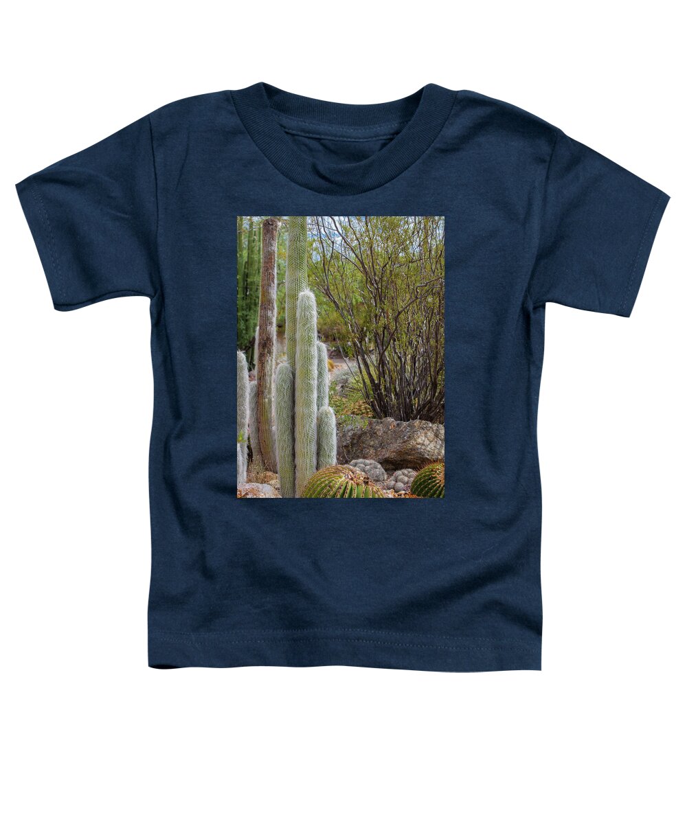 Cacti III - Toddler T-Shirt