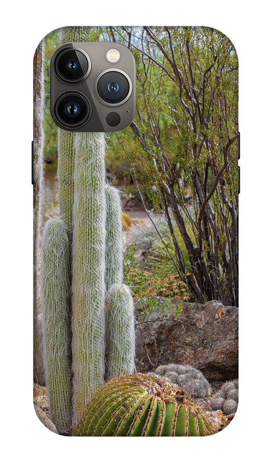 Cacti III - Phone Case