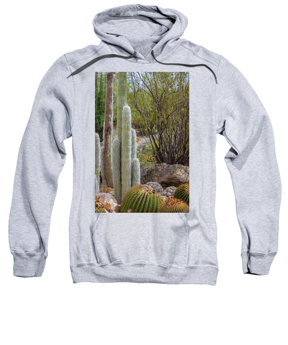 Cacti III - Sweatshirt