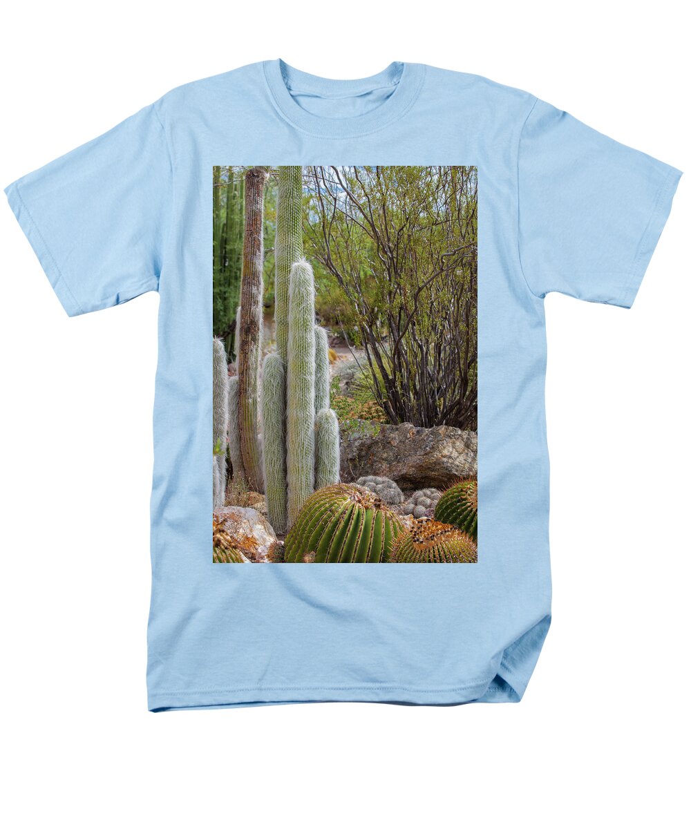Cacti III - Men's T-Shirt  (Regular Fit)