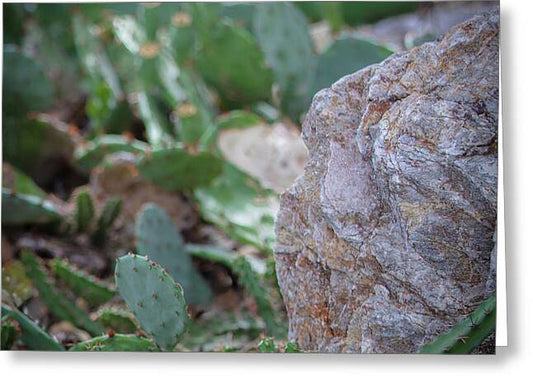 Cacti IV - Greeting Card