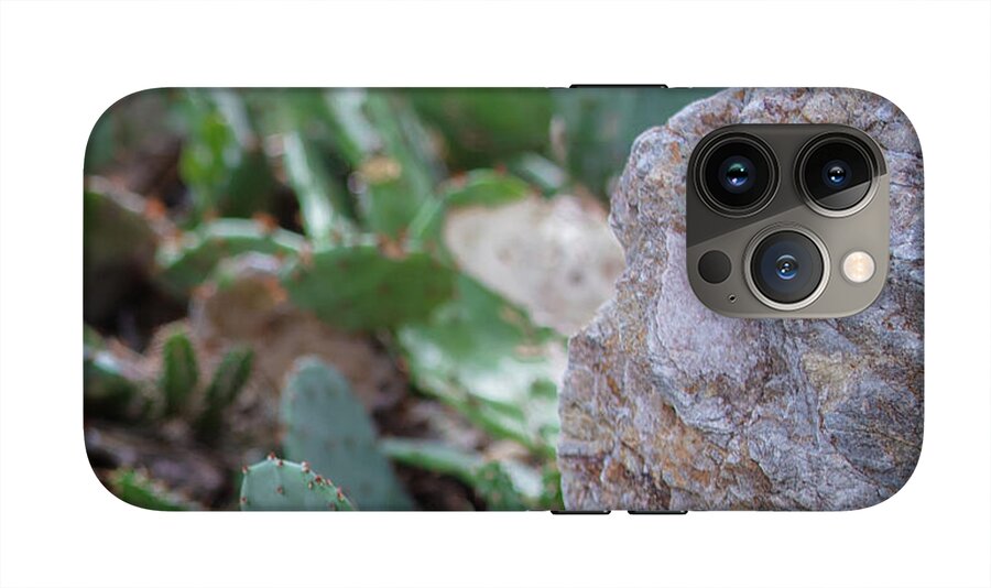 Cacti IV - Phone Case