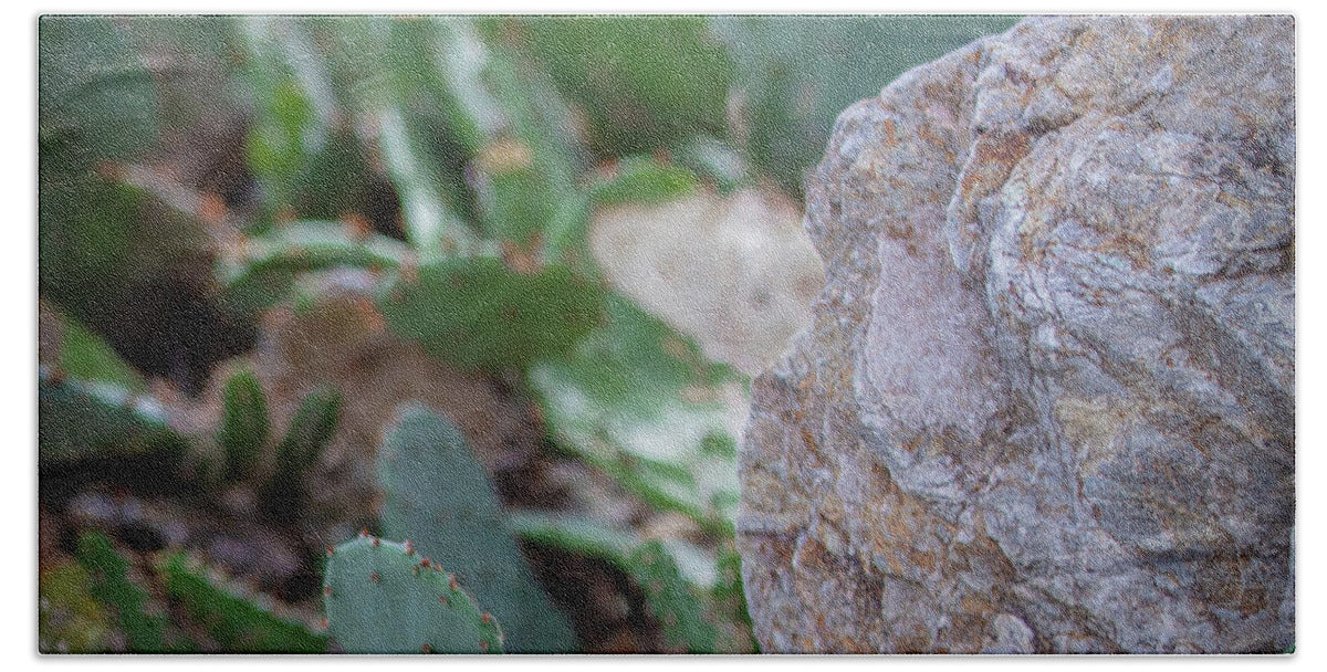 Cacti IV - Beach Towel