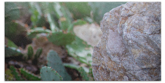 Cacti IV - Beach Towel