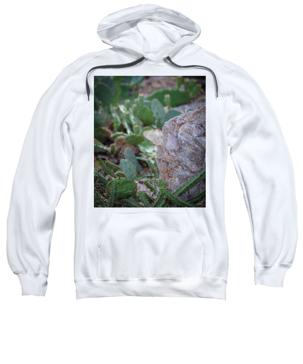 Cacti IV - Sweatshirt