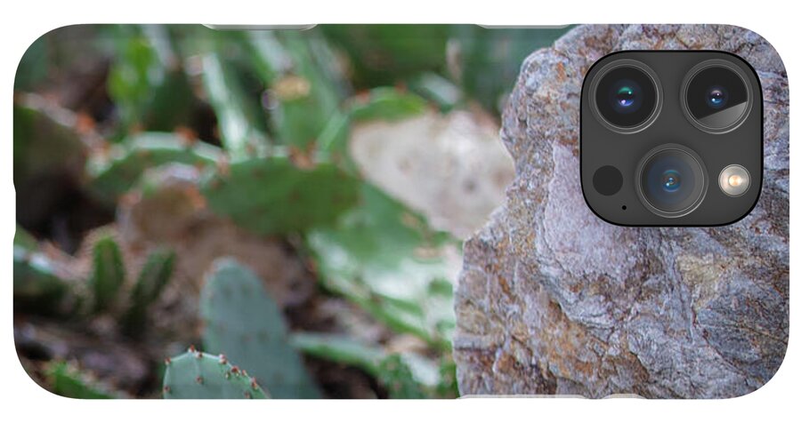 Cacti IV - Phone Case