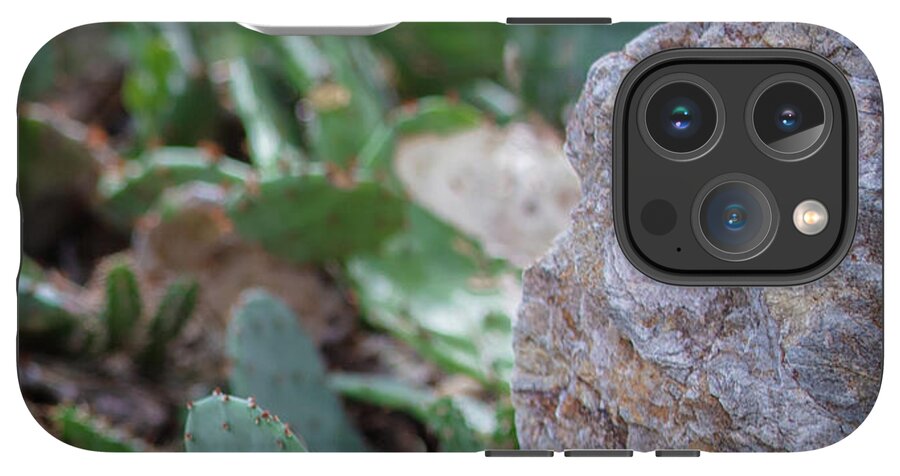 Cacti IV - Phone Case
