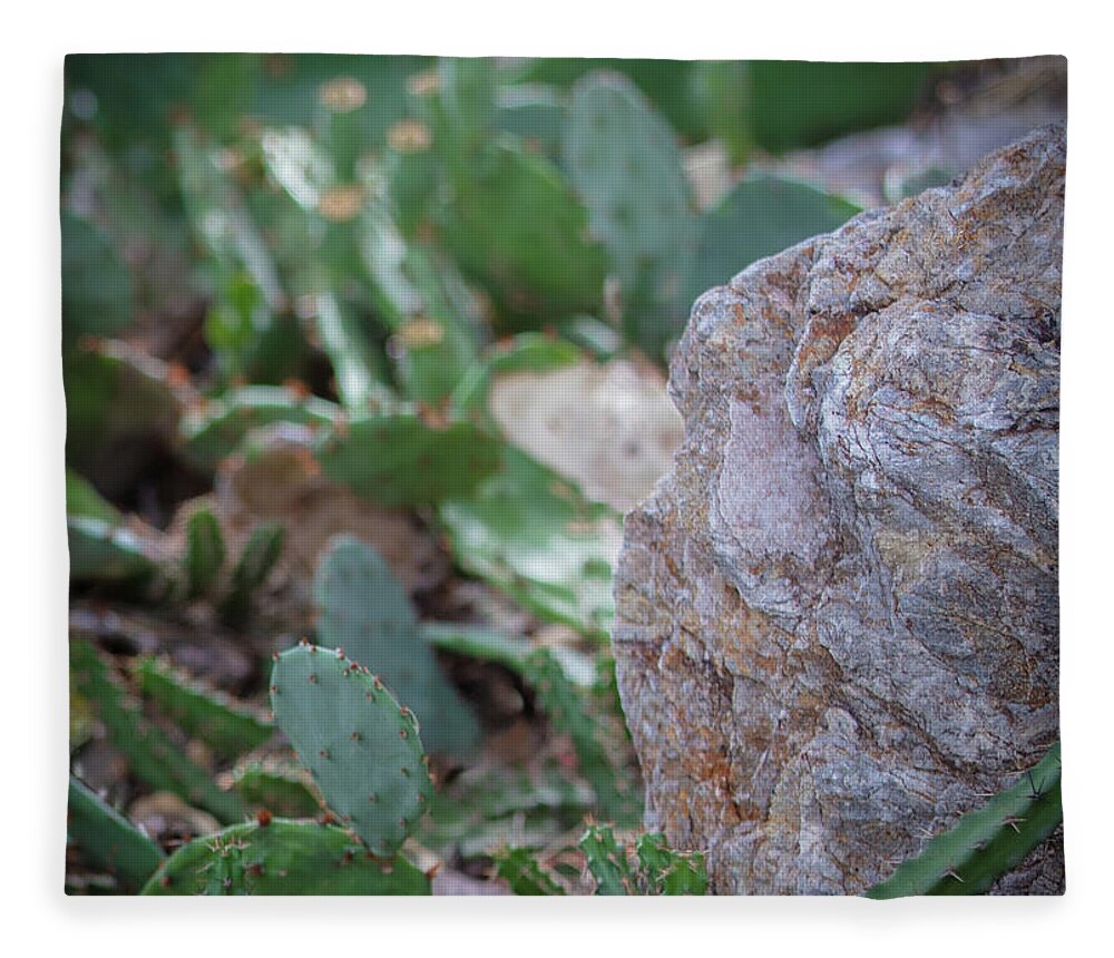 Cacti IV - Blanket