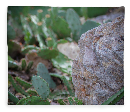 Cacti IV - Blanket