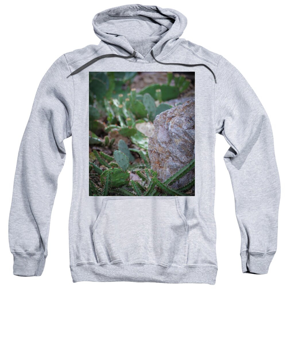 Cacti IV - Sweatshirt