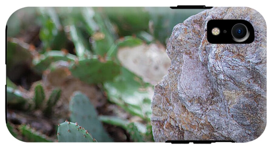 Cacti IV - Phone Case