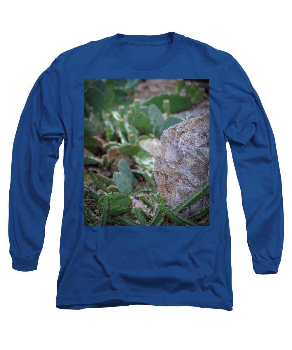 Cacti IV - Long Sleeve T-Shirt