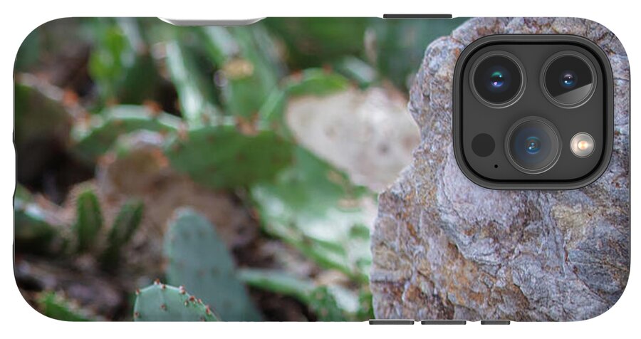 Cacti IV - Phone Case