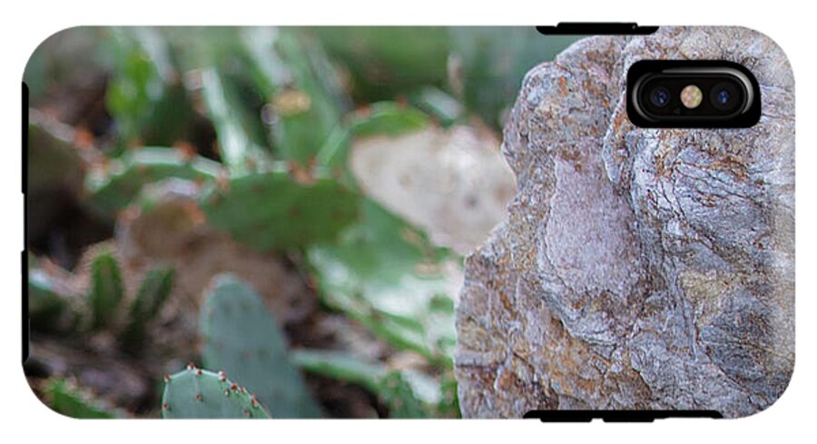 Cacti IV - Phone Case