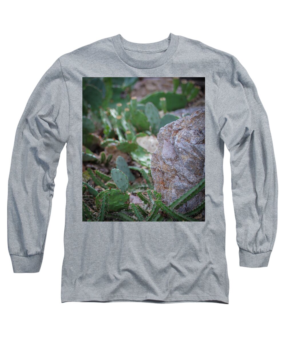 Cacti IV - Long Sleeve T-Shirt