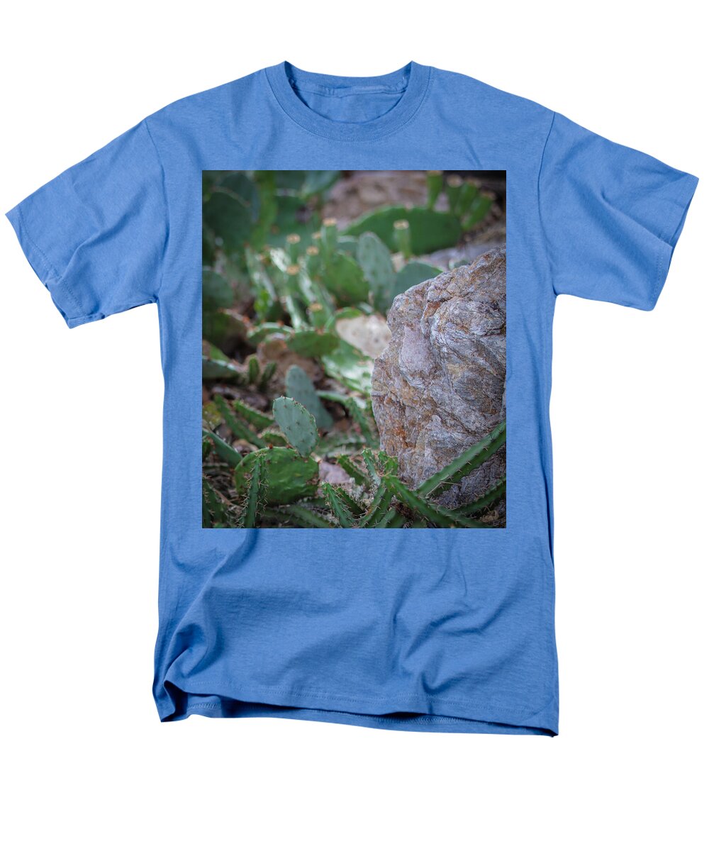 Cacti IV - Men's T-Shirt  (Regular Fit)