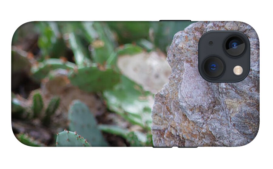 Cacti IV - Phone Case