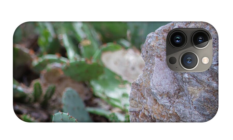 Cacti IV - Phone Case