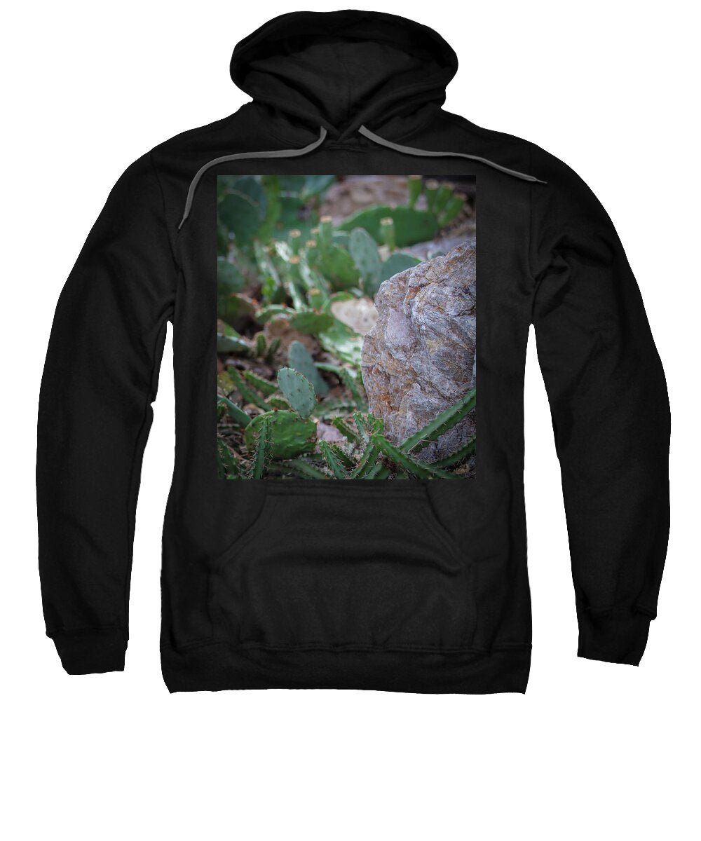 Cacti IV - Sweatshirt